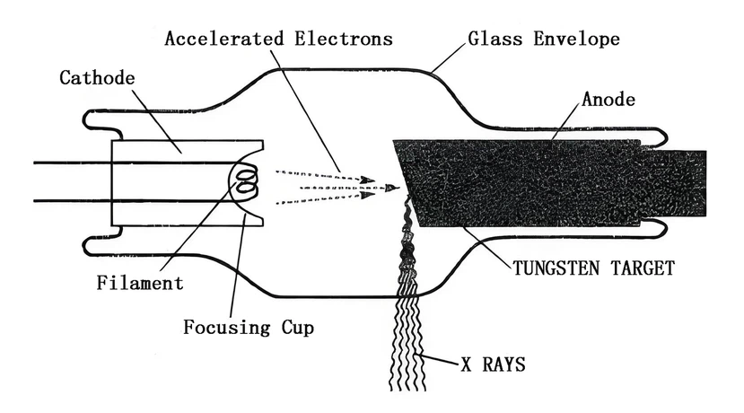 X RAY TUBE X RAY TUBE