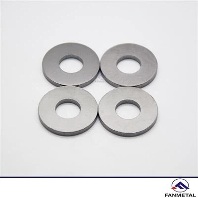Tantal Ta Washers, Tantal Plain Washers spre Europa